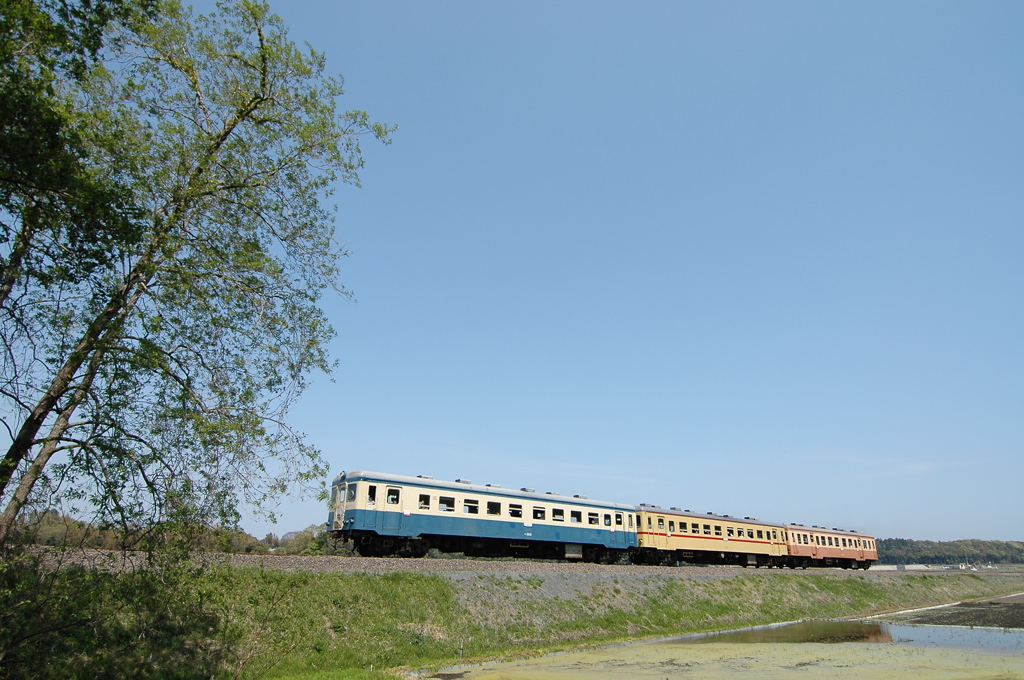 三色の気動車～新緑と青空～