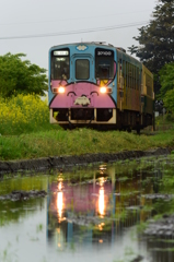 ライト点けてくれました
