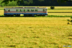 秋色の通学列車