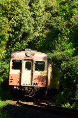 うっそうとした山