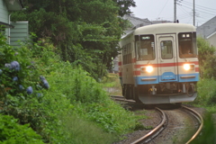 線路際のあじさい