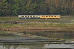 のどかな田園