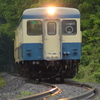 キハ222緑の中を行く
