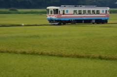 楽しそうな車内