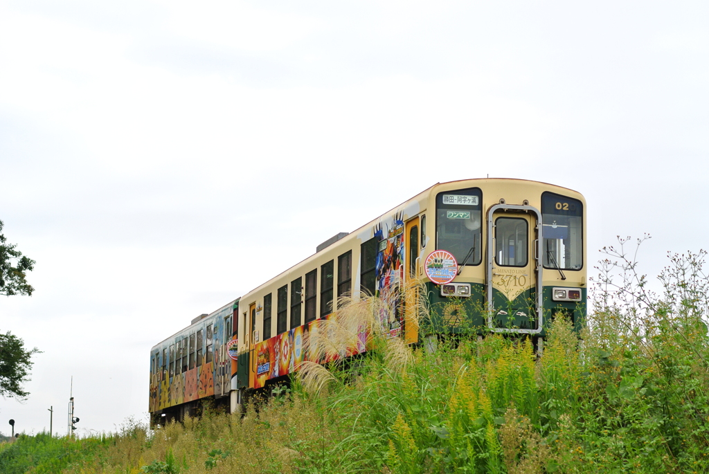 ラッピング・コンビ