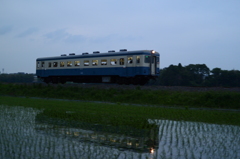 夕暮れ列車