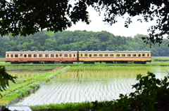 通勤通学列車(旧型)