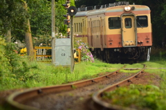 あじさいカーブ