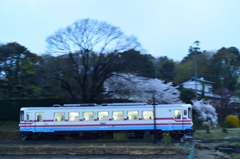 夕暮れを走るミキ