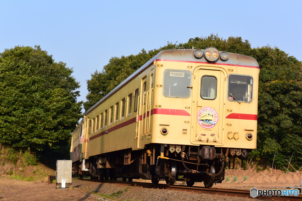 今日も走っていました