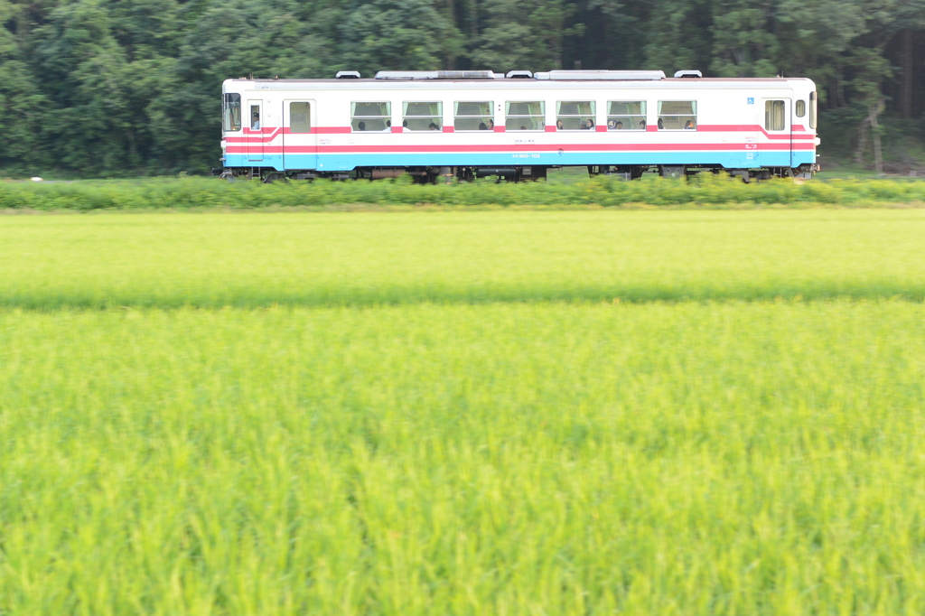 楽しそうな車内