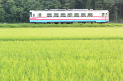 楽しそうな車内