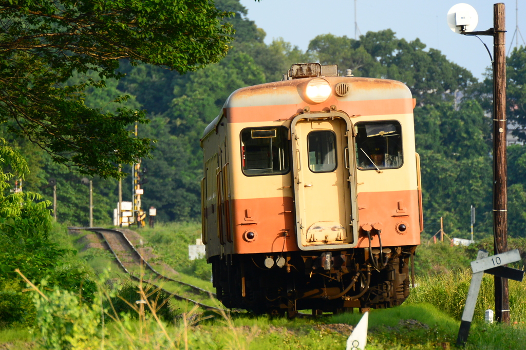 夏の朝
