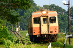 夏の朝