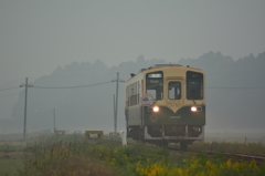 朝霧