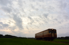 ほんのり色づく