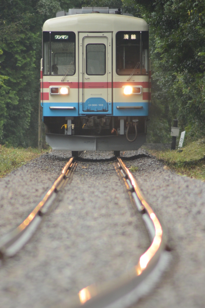 雨に濡れたレール