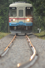 雨に濡れたレール