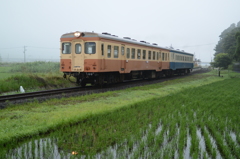 中根駅発車