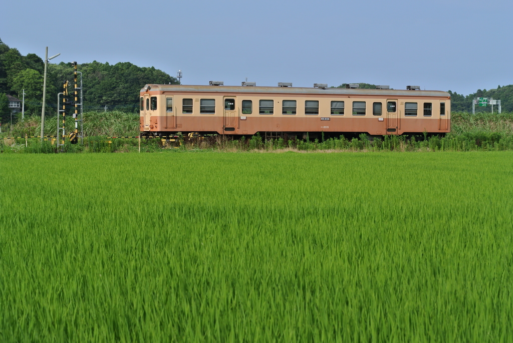水田地帯の踏切