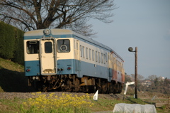 旧型気動車進行！