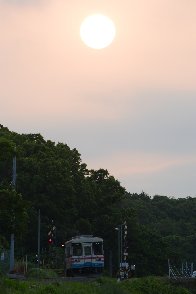 夕日
