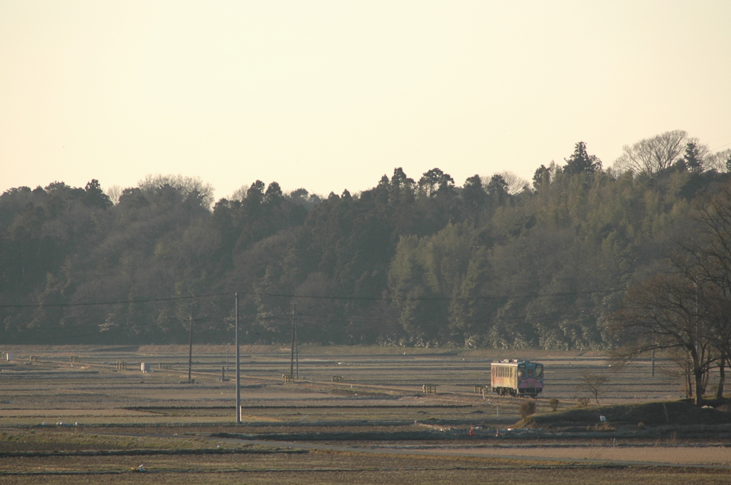 のどかな風景２