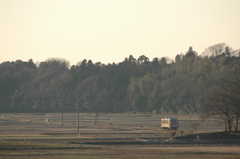 のどかな風景２