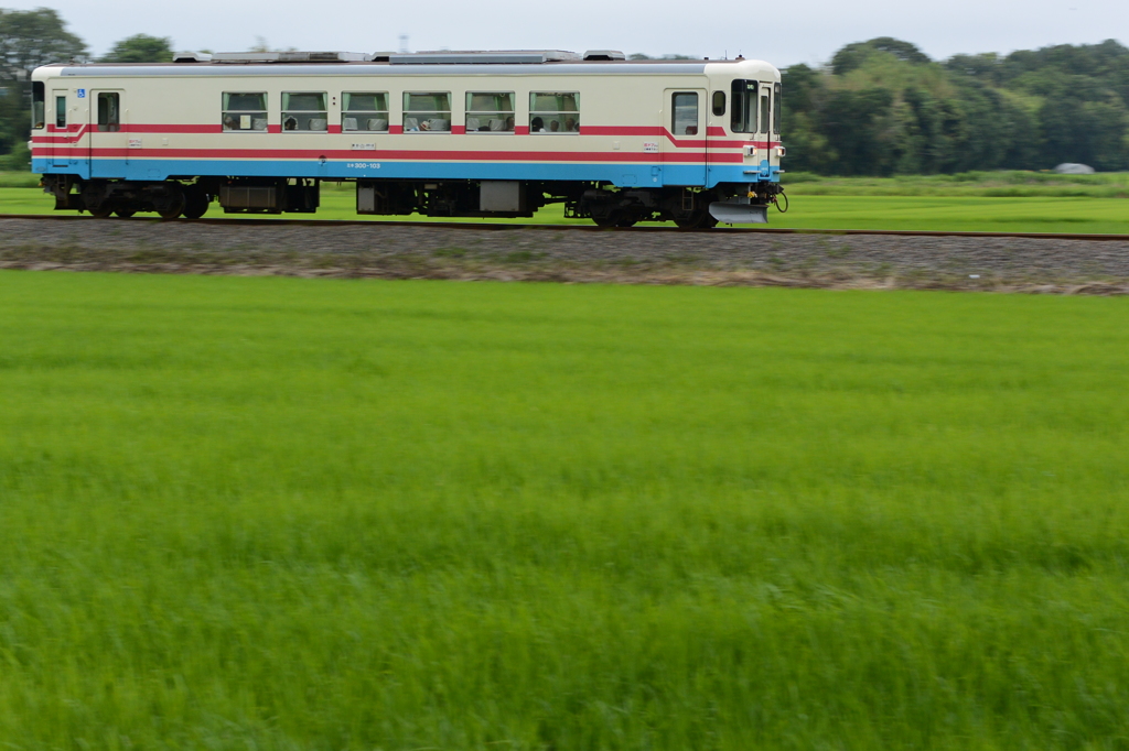 水田地帯を行く