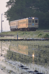 水田に映るライト
