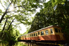 山中を行く