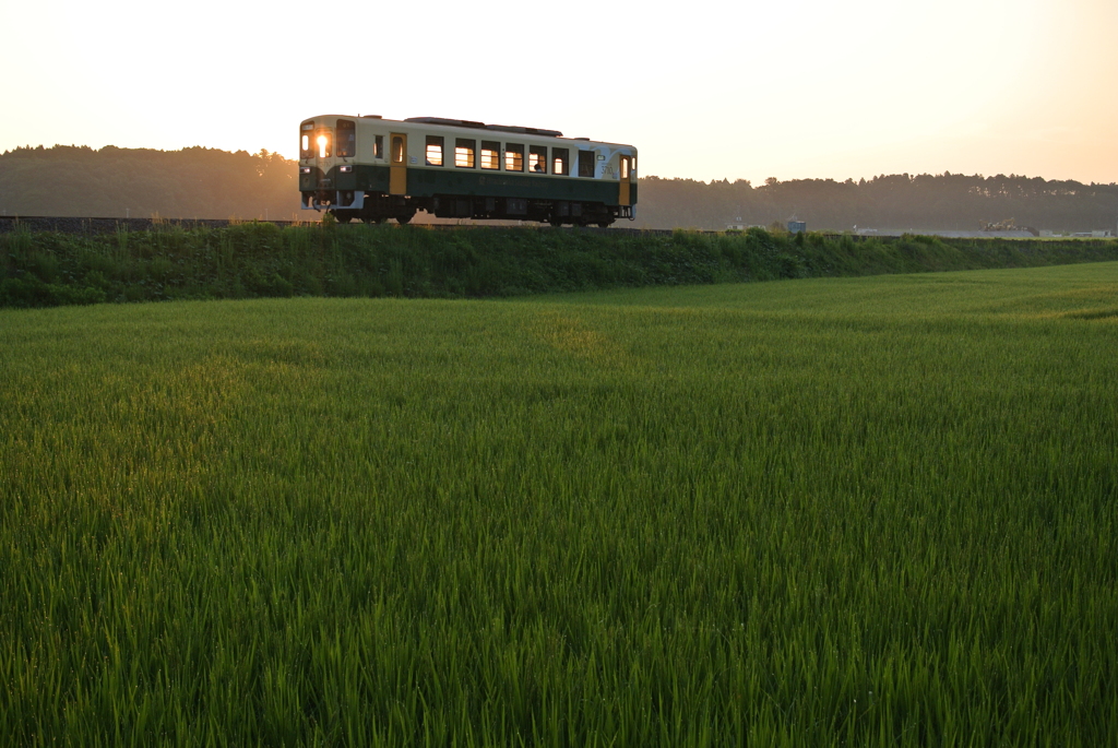 朝日をキャッチ