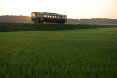 朝日をキャッチ