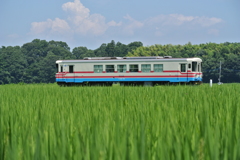 夏の風景