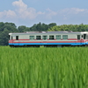 夏の風景