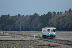 田園
