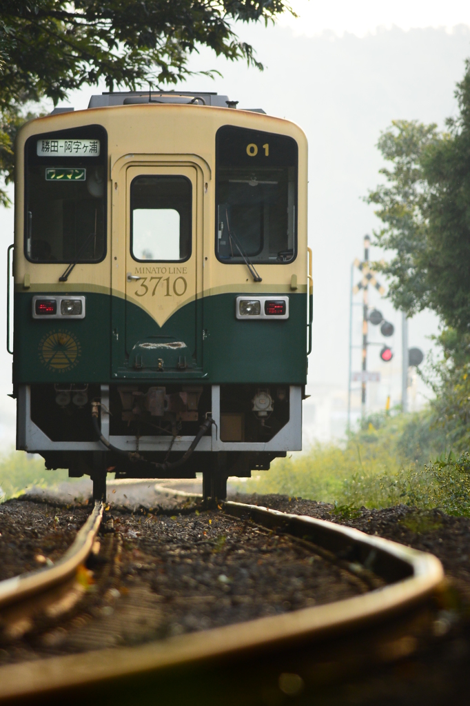 巻き上がる落ち葉