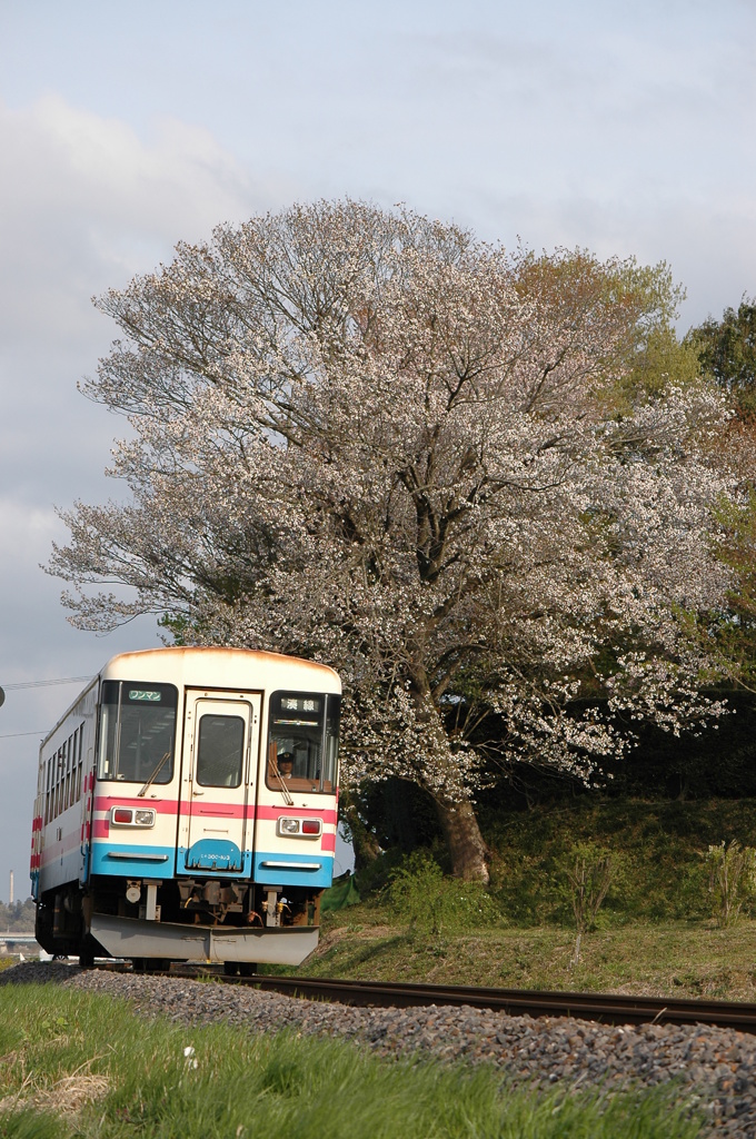 斜光を受ける