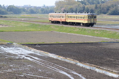 水が入り始めた水田