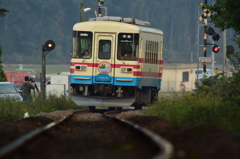 人気者のミキ