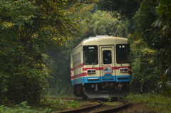 休日の満員列車