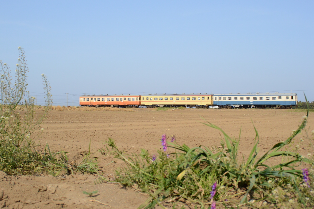三色の気動車～乾燥した畑～