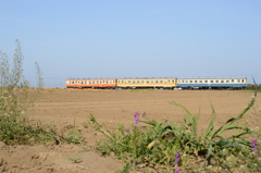 三色の気動車～乾燥した畑～