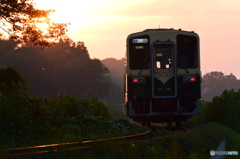 今年最後の夕日