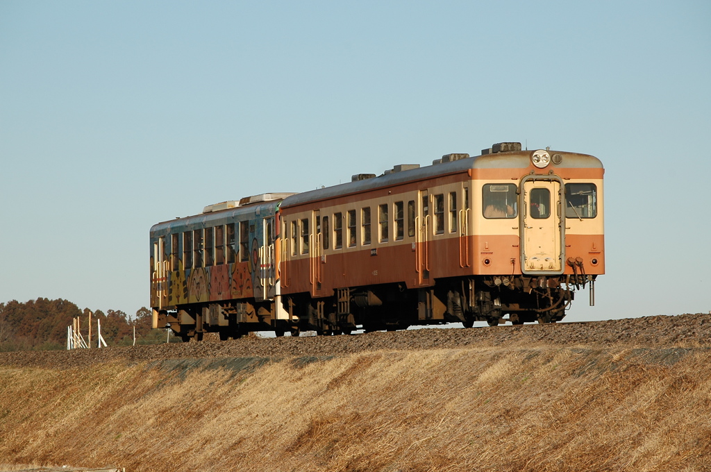 新型と旧型の競演