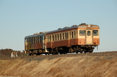 新型と旧型の競演