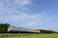 青い気動車と青空