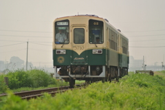朝もやの中～曙光の大地編～