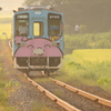 今日は立秋