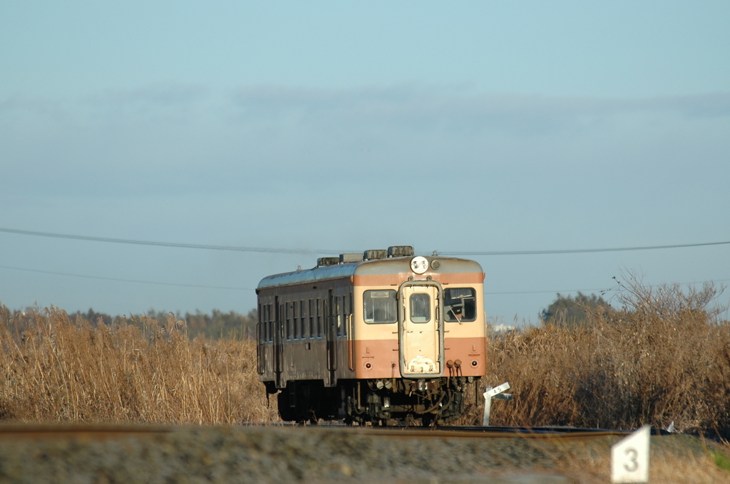 ススキの原を行く